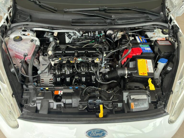 WhatsApp Image 2026-01-27 at 09.17.0010 - Copia